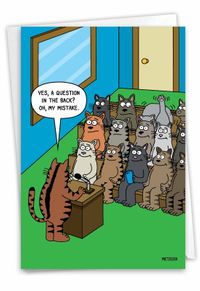 Cat Question Card