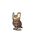 Noctowl