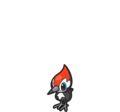 Pikipek