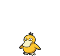 Psyduck