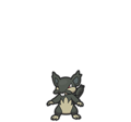 Alolan Rattata