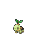 Turtwig