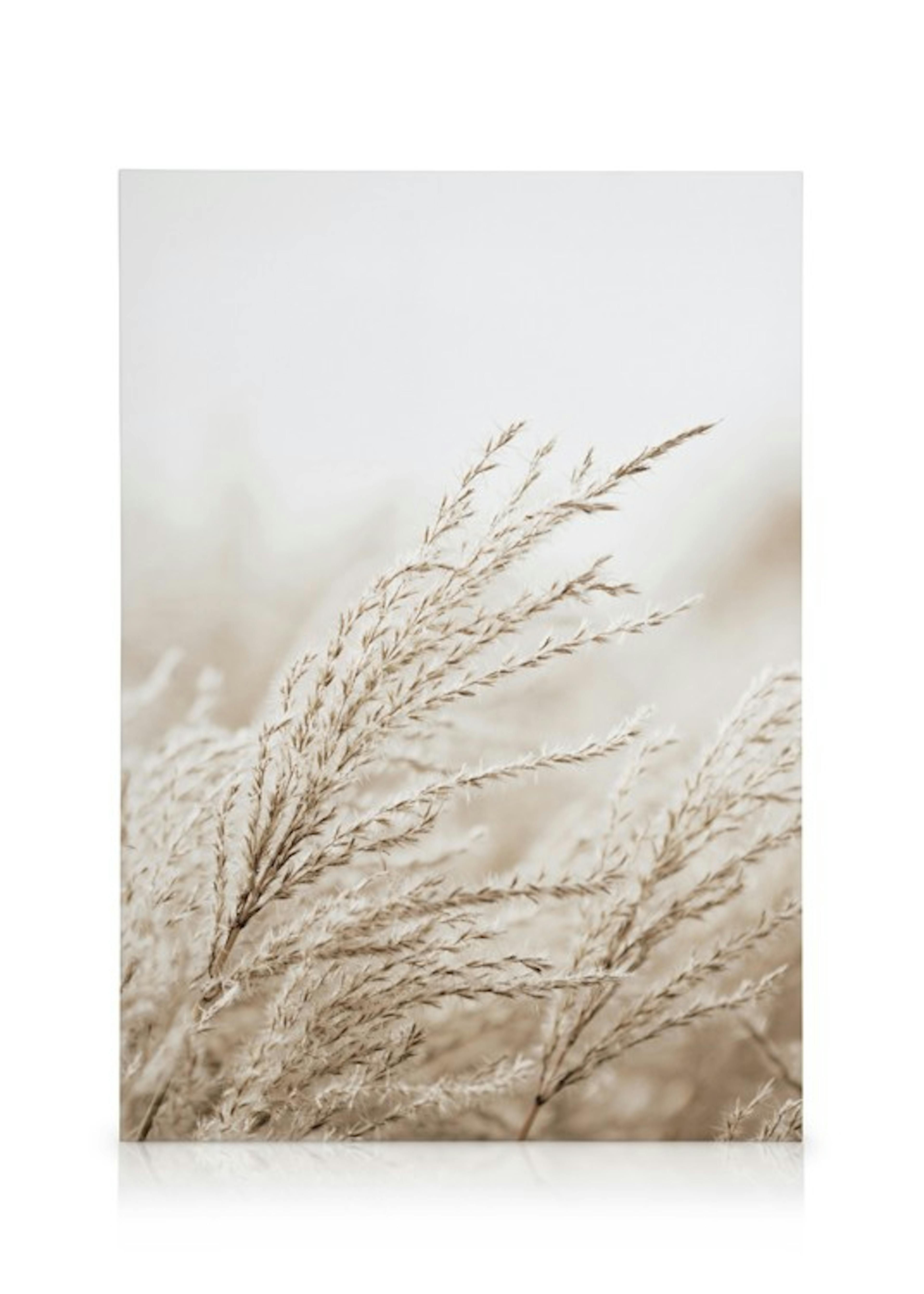 In the Reeds Canvas print 0