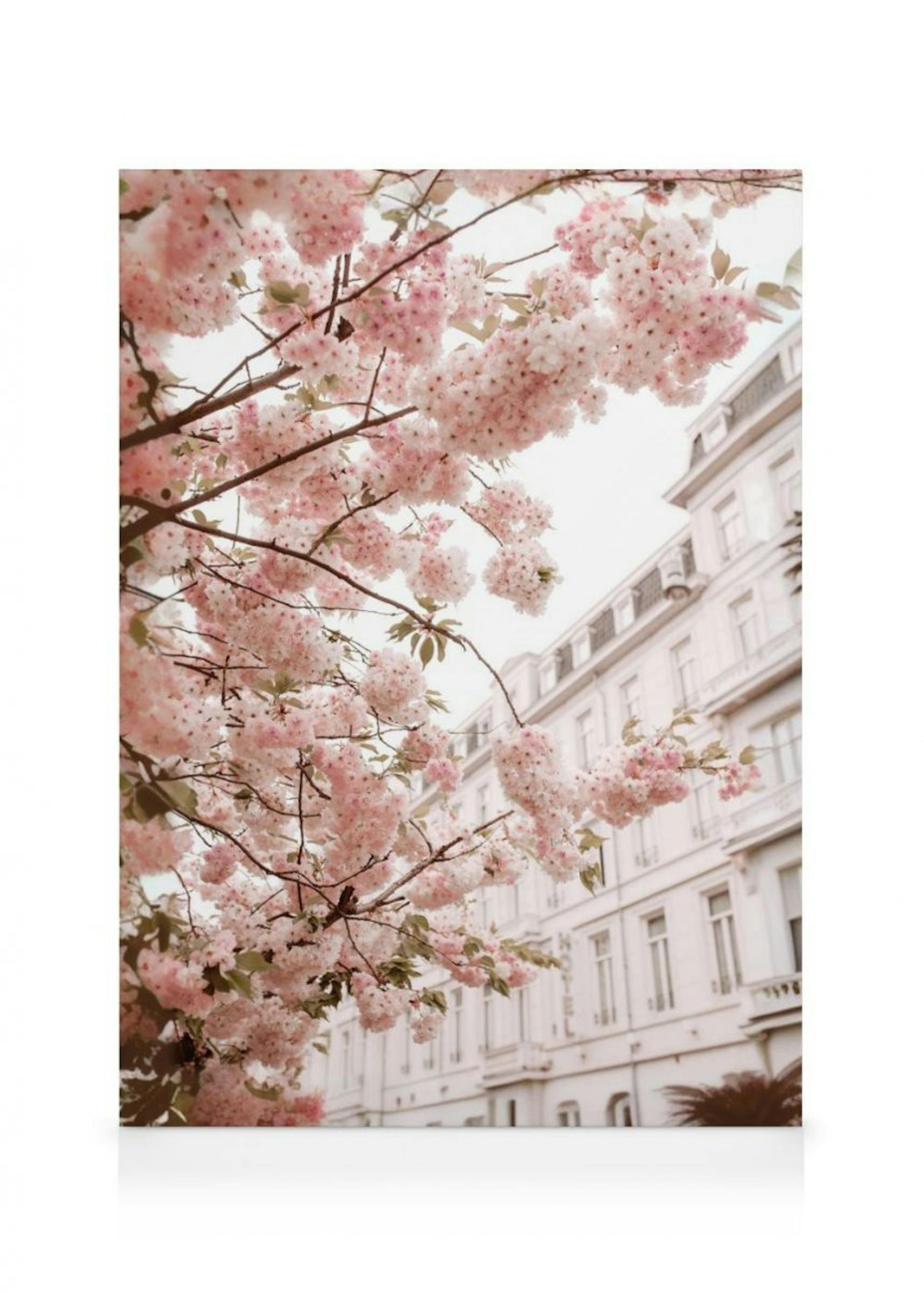 Cherry Branches Canvas Print 0