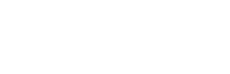 SFist Logo