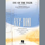 Cover Art for "Eye Of The Tiger" by Johnnie Vinson