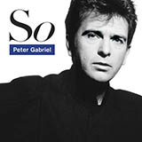 Couverture pour "Solsbury Hill" par Peter Gabriel