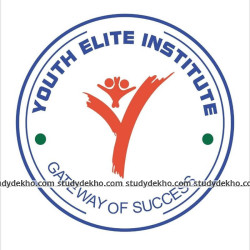 Youth Elite Institute Logo