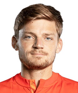 Profile image of David Goffin