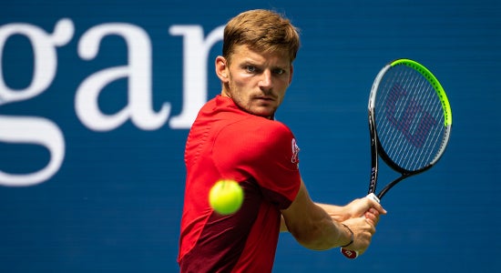 David Goffin