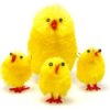 Easter Chicken Craft