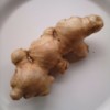 A garlic root before being peeled.