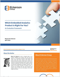 Eckerson Group Which Embedded Analytics Tool is Right For You