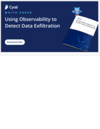 Observability to Detect Exfiltration