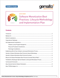 Software Monetization: Lifecycle Methodology and Implementation Plan