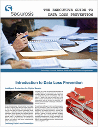 The Executive Guide to Data Loss Prevention