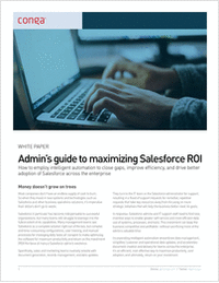 The Admin's Guide to Maximizing Salesforce ROI