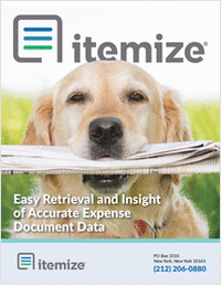 Easy Retrieval and Insights from Expense Documents