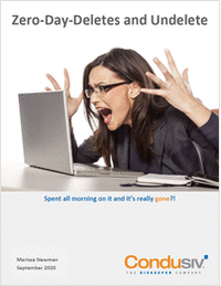Zero-Day-Deletes and Undelete