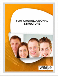 Flat Organizational Structure