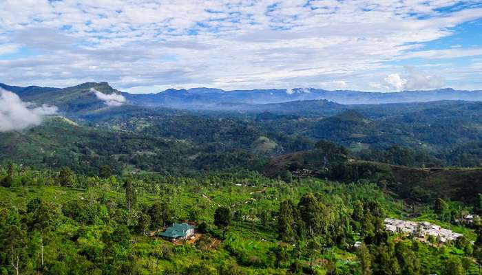 Sri Lanka en janvier