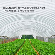 VEVOR Greenhouse Film 16 x 25 ft, Greenhouse Polyethylene Film 6 Mil Thickness, Greenhouse Plastic Clear Plastic Film UV Resistant, Polyethylene Film Keep Warming, Superior Strength Toughness