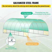 VEVOR Walk-in Tunnel Greenhouse, 20 x 10 x 7 ft Portable Plant Hot House w/ Galvanized Steel Hoops, 3 Top Beams, Diagonal Poles, 2 Zippered Doors & 12 Roll-up Windows, Green