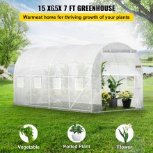 VEVOR Walk-in Tunnel Greenhouse, 15 x 6.5 x 7 ft Portable Plant Hot House w/ Galvanized Steel Hoops, 1 Top Beam, Diagonal Poles, Zippered Door & 8 Roll-up Windows, White