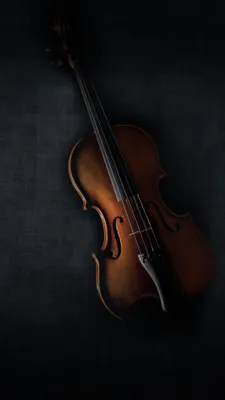 Violin, Musical Instrument