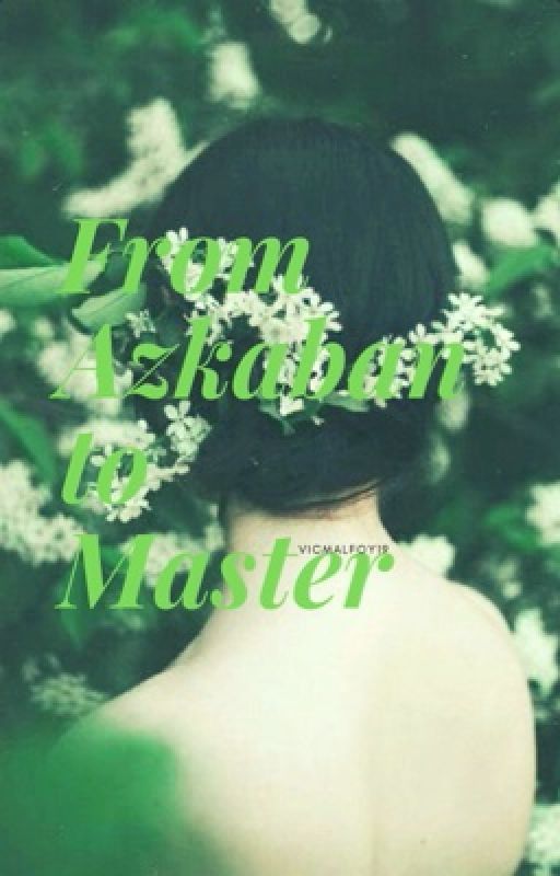 From Azkaban to Master by VicMalfoy19