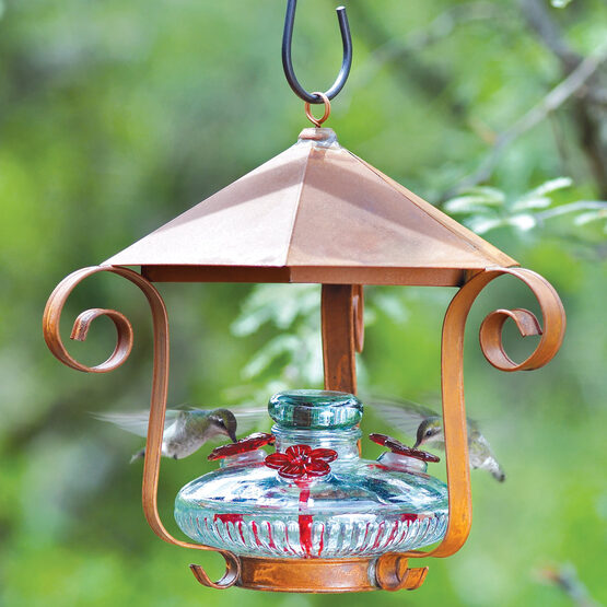 Bloom Hummingbird Feeder with Shelter