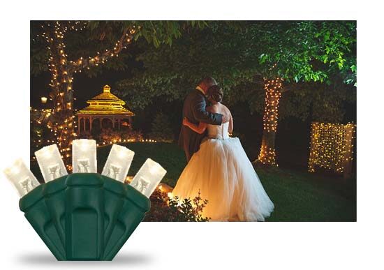 Outdoor Wedding Lights