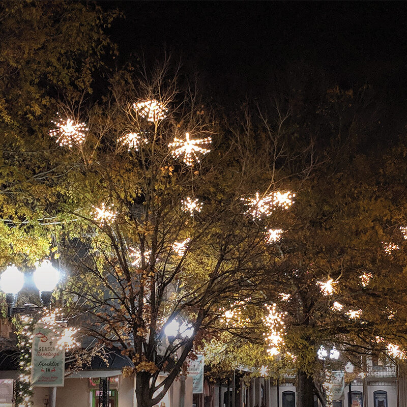 Starburst Tree Lights