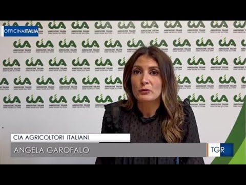 RAI 3 TGR OFFICINA ITALIA - Peste suina: quanto costa al comparto salumi. Con Angela Garofalo (Cia)