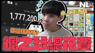 [閒聊] 裝備用課金 練功請代練 那要玩啥?