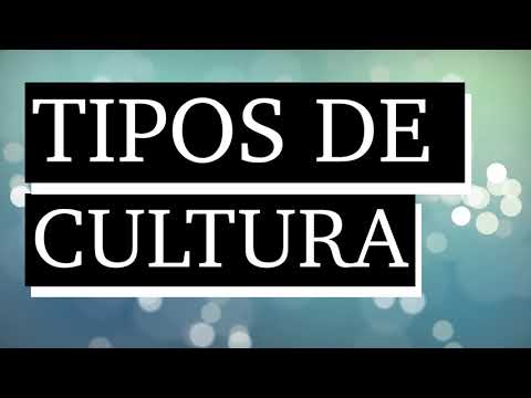 ¿Cuáles son los 4 tipos de cultura? – LIB ASK