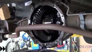 Differential Fluid Service