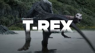 Exclusive Video of Tyrannosaurus Rex the KILLER!