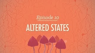 Altered States - Crash Course Psychology #10