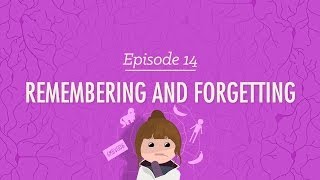 Remembering and Forgetting - Crash Course Psychology #14