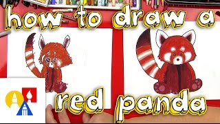 How To Draw A Red Panda