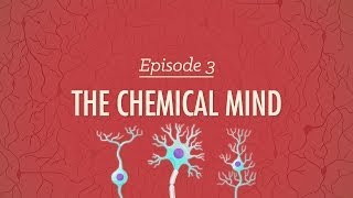 The Chemical Mind - Crash Course Psychology #3