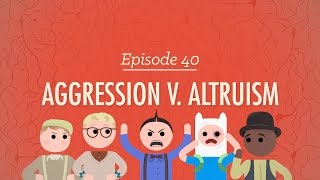 Aggression V. Altruism: Crash Course Psychology #40