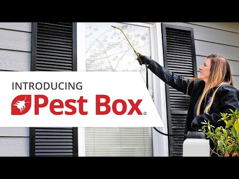 Introducing Pest Box Video