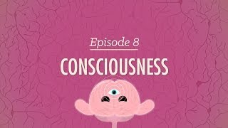 Consciousness - Crash Course Psychology #8