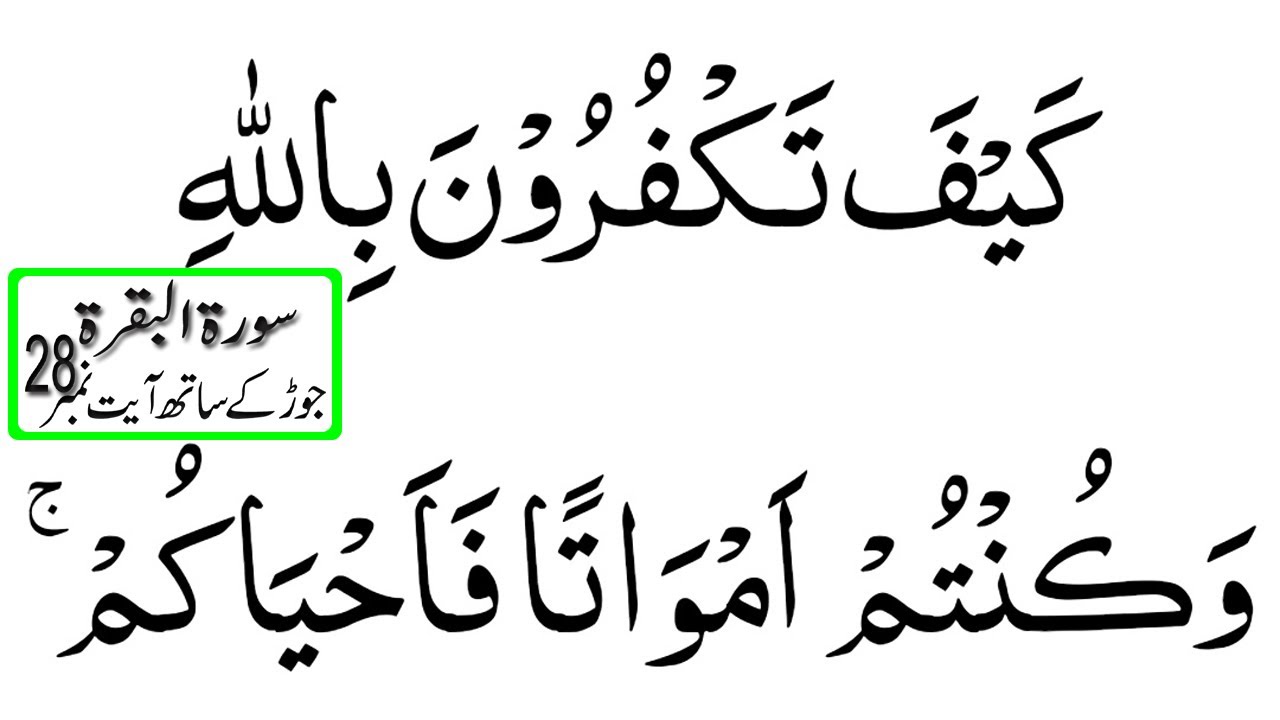 02 Surah Al Baqarah Hijje verses 28 HD Arabic Word with Alphabet