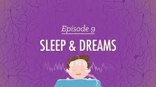 To Sleep, Perchance to Dream - Crash Course Psychology #9