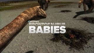 Cutest Baby Dinosaurs