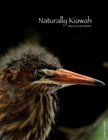 Naturally Kiawah Special Guest Edition - Kiawah Conservancy