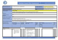 Multiple Hazard Risk Assessment - ACT Museums and Galleries